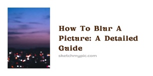 blog/How_To_Blur_A_Picture_A_Detailed_Guide.webp