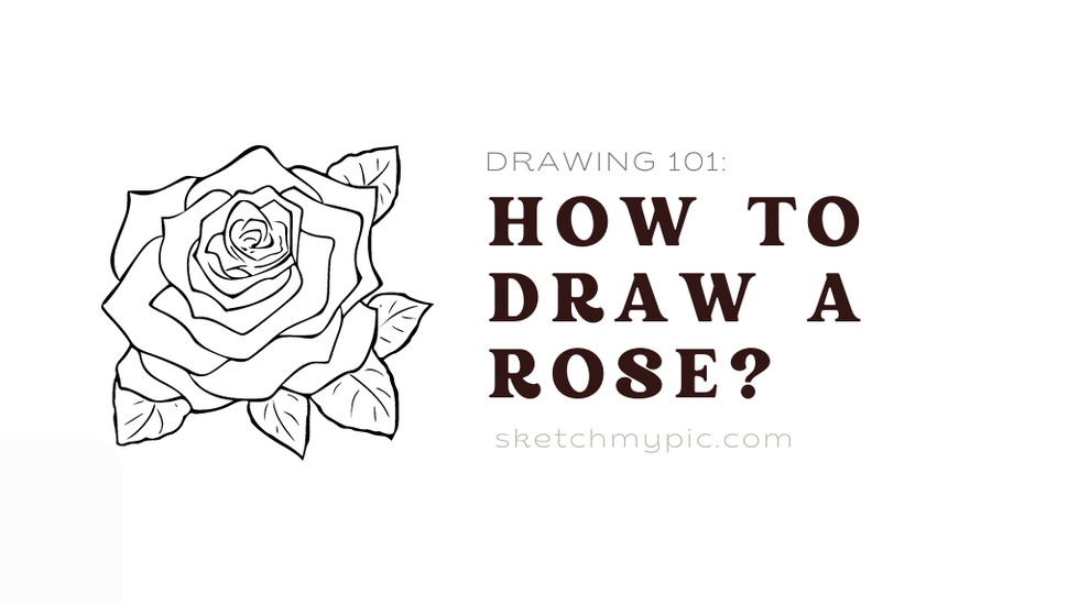 blog/SMP_How_to_draw_a_rose.png