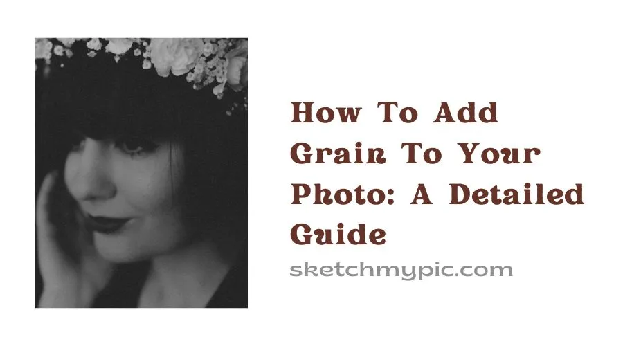sketchMyPic How to Add Film Grain to a Photo
