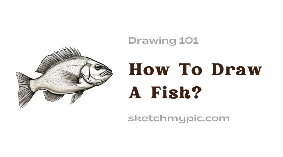 sketchMyPic | How to Draw a Fish