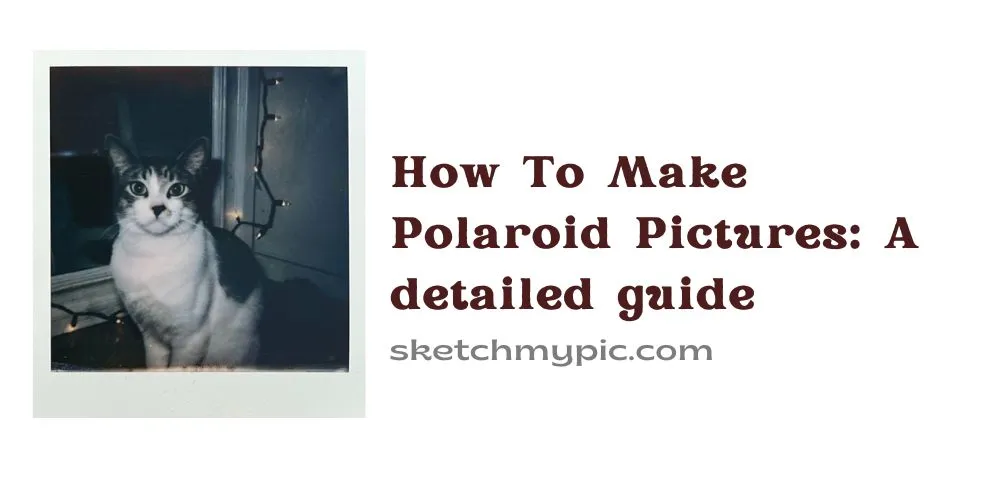 sketchMyPic How To Make Polaroid Pictures A detailed guide