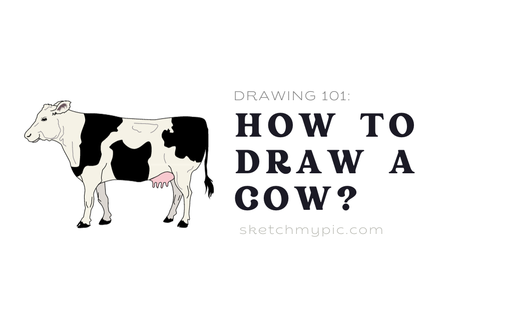 sketchMyPic | How to Draw a Cow?