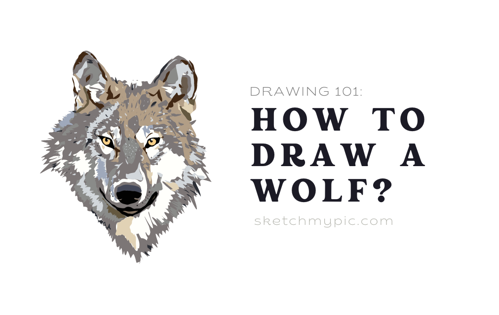 sketchMyPic | Drawing 101: How to Draw a Wolf?