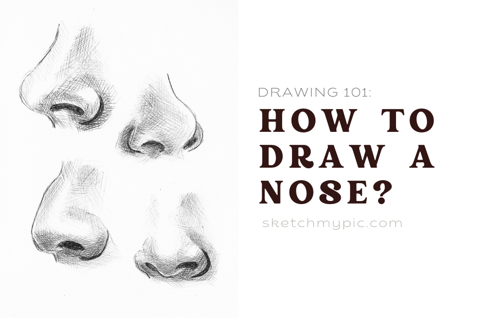 sketchMyPic | Drawing 101: How to Draw a Nose?