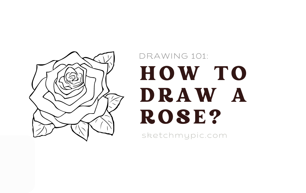 sketchMyPic | Drawing 101: How to Draw a Rose