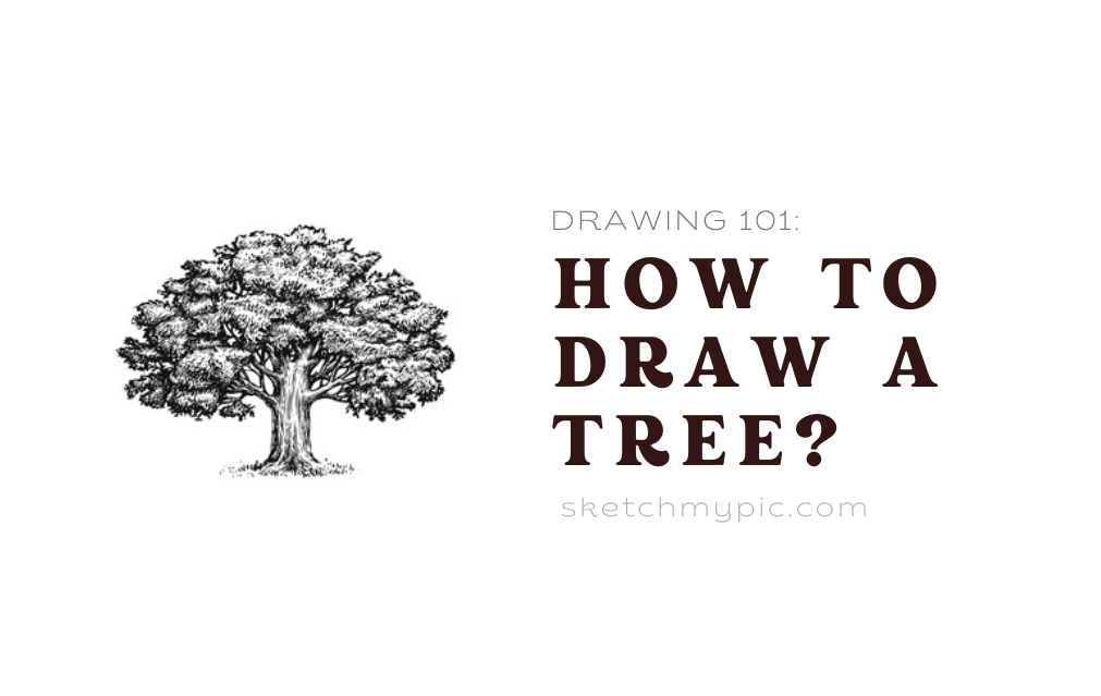 sketchMyPic | Drawing 101: How to Draw a Tree?