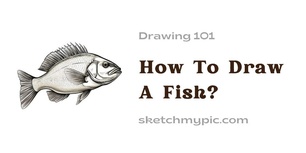 blog/How_To_Draw_A_Fish.jpg