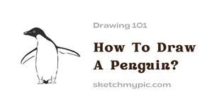 blog/How_To_Draw_A_Penguin.webp
