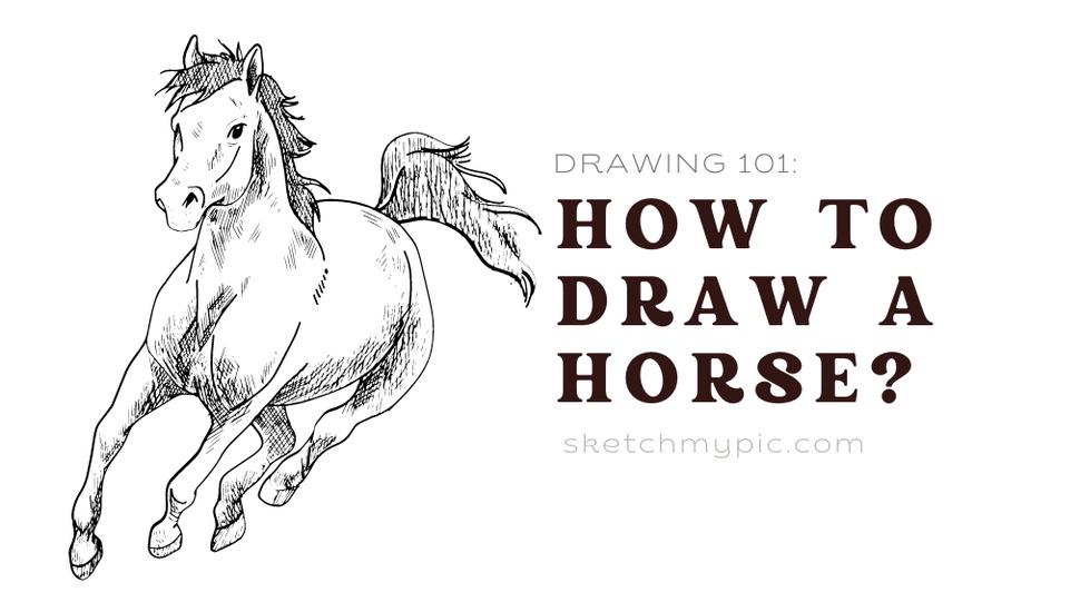 blog/SMP_How_to_Draw_a_Horse.png