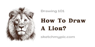 blog/How_To_Draw_A_Lion3.jpg