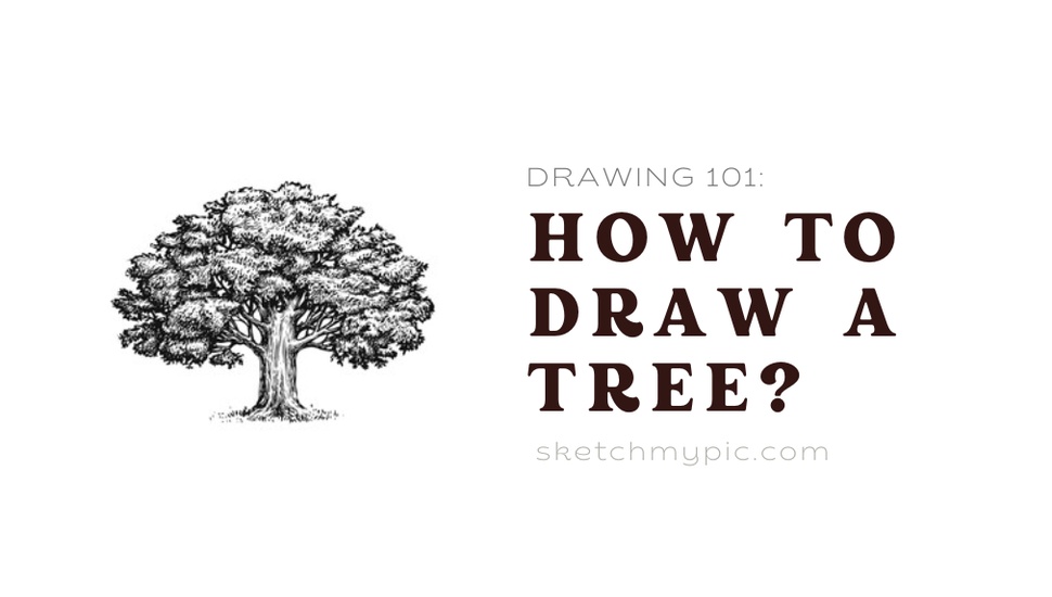 blog/SMP_How_to_draw_a_tree.png