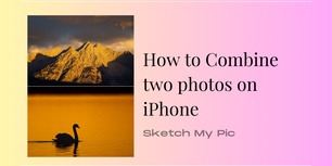 blog/Combine_photos.png