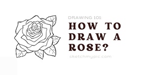 blog/SMP_How_to_draw_a_rose.png