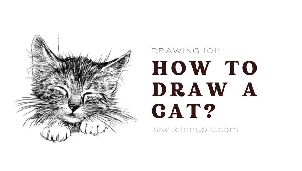 blog/SMP_How_to_draw_a_cat.png