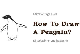 blog/How_To_Draw_A_Penguin.webp
