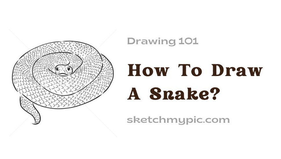 blog/How_To_Draw_A_Snake.jpg