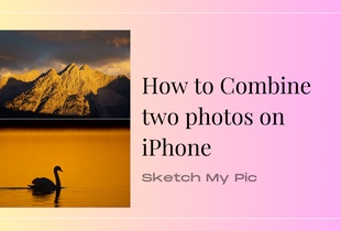 blog/Combine_photos.png