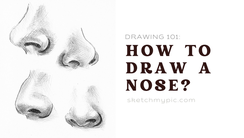 blog/SMP_How_to_draw_a_nose.png
