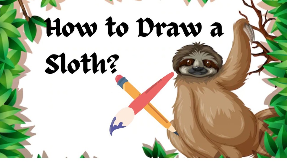 blog/How_to_Draw_a_sloth_featured_image.jpg