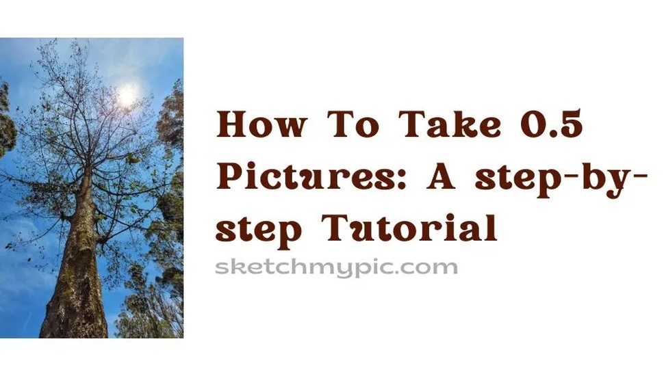 blog/How_to_take_0.5_pictures.webp