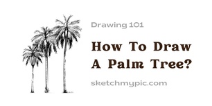 blog/How_To_Draw_A_Palm_Tree.jpg