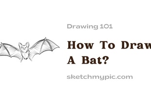 blog/How_To_Draw_A_Bat.webp