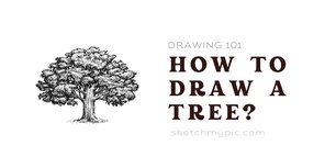 blog/SMP_How_to_draw_a_tree.png