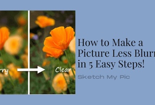 blog/How_to_Make_a_Picture_Less_Blurry.png