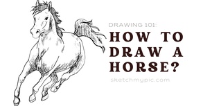 blog/SMP_How_to_Draw_a_Horse.png