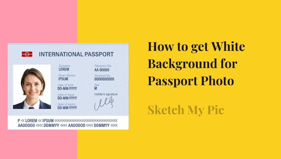 blog/Passport_white_background_1.png