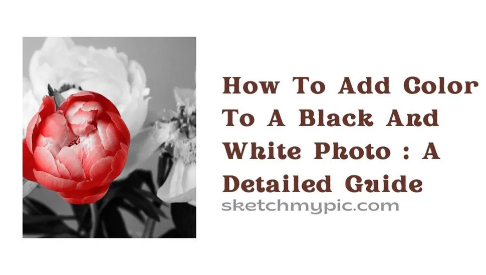 blog/How_To_Add_color_to_a_black_and_white_photo_A_Detailed_Guide.webp