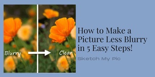 blog/How_to_Make_a_Picture_Less_Blurry.png