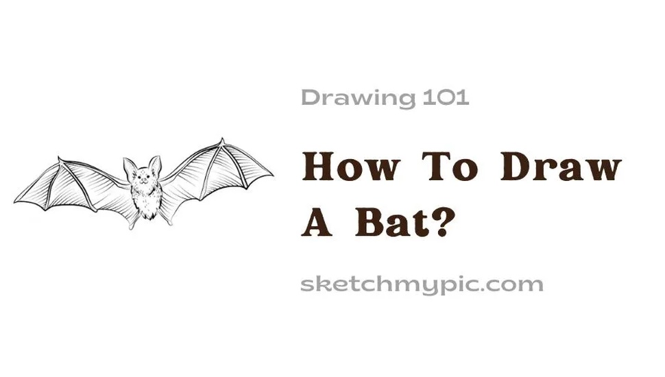 blog/How_To_Draw_A_Bat.webp