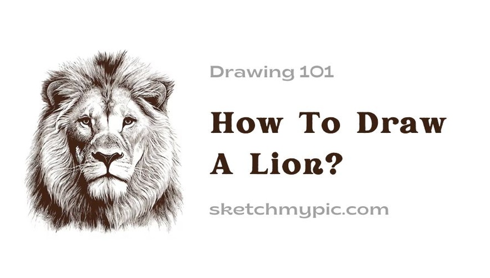blog/How_To_Draw_A_Lion3.jpg