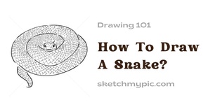 blog/How_To_Draw_A_Snake.jpg