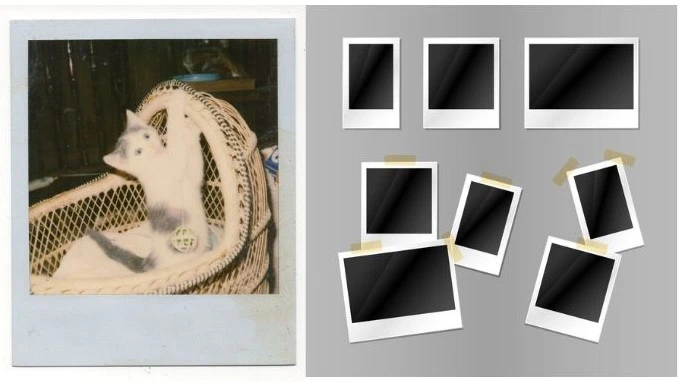How to make polaroid pictures
