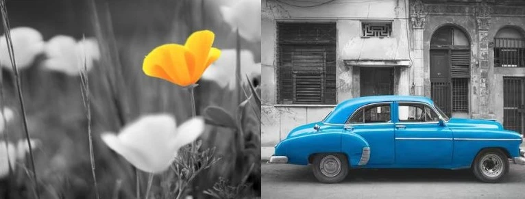 How To Add Color To A Black And White Photo